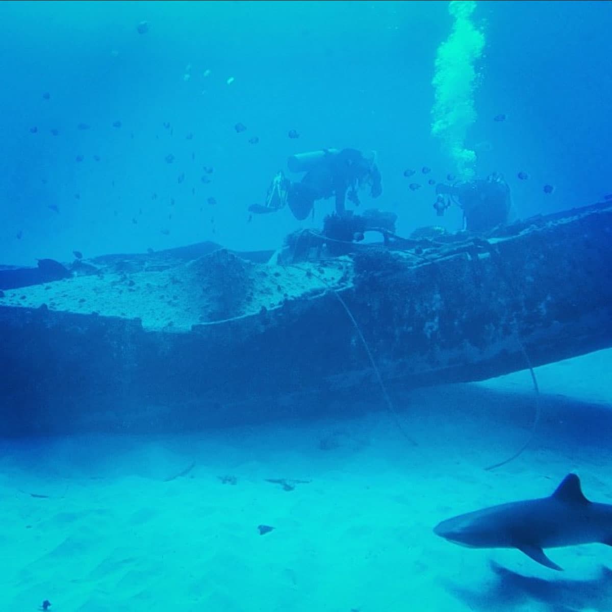 Snorquel at Kailua-Kona, Hawaii